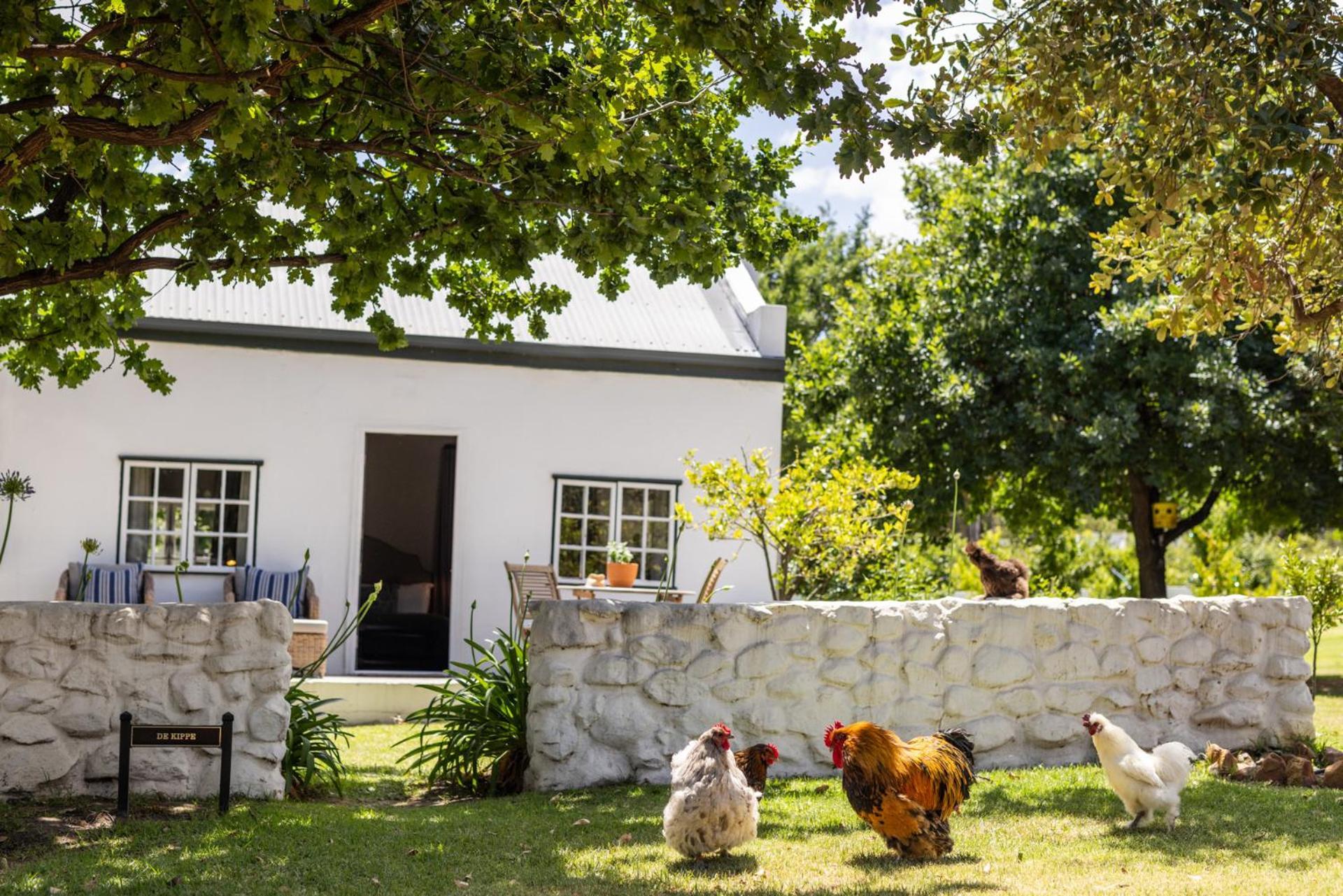 Eikehof Farm Apartment Уорчестър Екстериор снимка